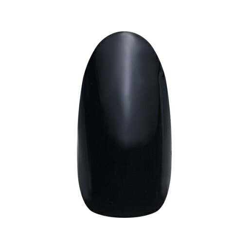 ネイルパフェ カラージェル 10ブラック 2g ネイルパフェ カラージェル 10ブラック 2g