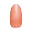 【限定特別価格!!!】ネイルパフェ プレミアムカラージェル 25オランジュ 10g