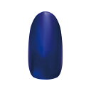 【限定特別価格!!!】ネイルパフェ カラージェル A31ブルーベリー 2g