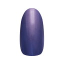 【限定特別価格!!!】ネイルパフェ アートカラージェル A38オーロラヴェールウィッチ 2g