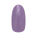 Nail Parfait Art Color Gel (Bright Purple) LED(30〜36W)30秒/UV(30〜36W)120秒。 繊細なぷっくりアートも自在です。 ぷっくり、ワンカラー、極細ライン、アートのバリエーションが...