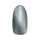 【限定特別価格!!!】ネイルパフェ マグネットジェルS10エマングリ 2g