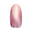 【限定特別価格!!!】ネイルパフェ マグネットジェル S20エマンローズドーレ 10g