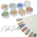 ネイルパーツ ネイルグッズ ネイル用品 ネイル ネイルアート フラッシュラメパウダー ジェルネイル フラッシュネイル カラー パウダー ラメ ホログラム 人気 ...