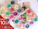 【SS 10%OFF】ネイルパーツ ネイルグッズ ネイル用品 ネイル ネイルアート ネイルシェルストーン12色セット ジェルネイル レジン クラッシュシェル シェルフレーク パーツ デコ用品 貝 ハンドメイド 埋め込み 人気 おすすめ 可愛い かわいい