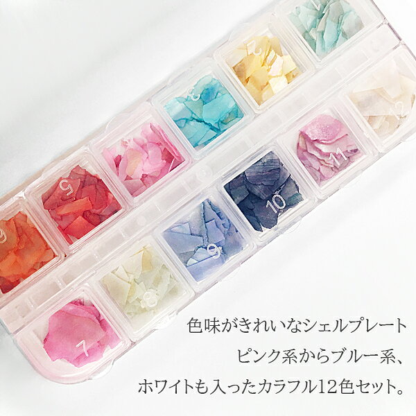 ネイルパーツ 貝殻 クラッシュシェル カラフルシェルプレート12色セット ケース付 byNS スーパーセール nailstudy-10033054 ネイル用品 nailstudy サンプル画像2