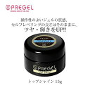 ジェルネイル トップジェル プリジェル トップシャイン 15g