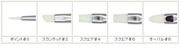 �ͥ���֥饷 ������֥饷 ����ץ꡼�ȥ��å� GB-0