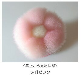 ���쥢 �����ȥ֥饷 �饤�ȥԥ�