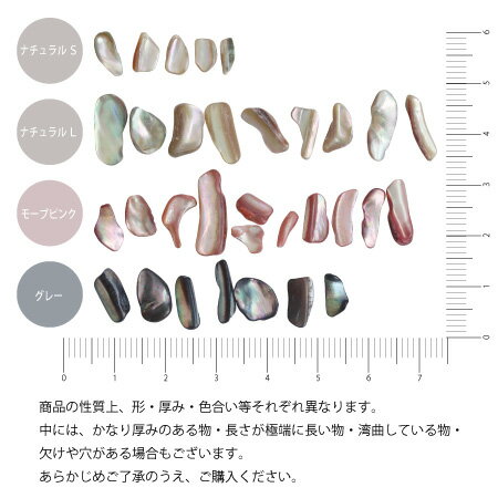 �ͥ���ѡ��� ��� �ۥ������ ����å��� SHAREYDVA ������������ �����������륰�졼 5g