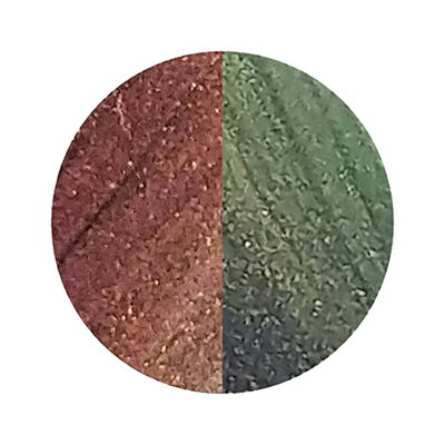 ICEGEL カラージェル マグネットジェル マグネットアート マグネットジェル アイスジェル A BLACK ダブルギャラクシージェル DG-1111 キャッツアイブラウン 3g