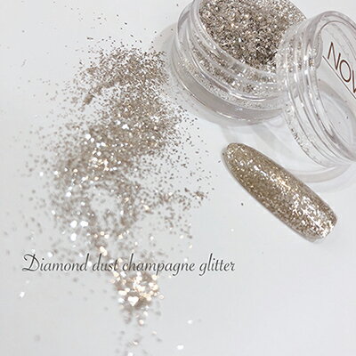 ノヴェル ダイヤモンドダスト シャンパングリッター ラメグリッター ノヴェル NOVEL Diamond dust champagne glitter 1.2g