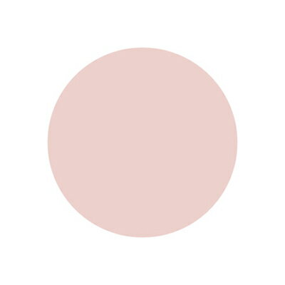 プリジェルミューズ カラージェル カラージェル PREGEL プリジェル ミューズ ラパンベージュ PGU-M316 3g