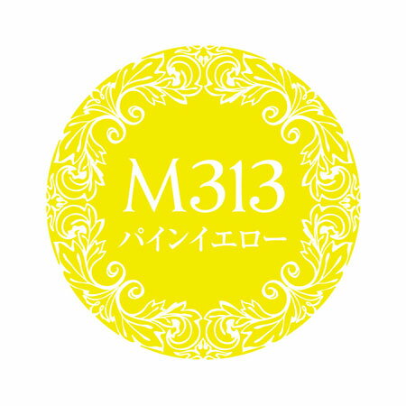 プリジェルミューズ カラージェル カラージェル PREGEL プリジェル ミューズ パインイエロー PGU-M313 3g 3