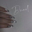 ネイルアート パウダー キャットアイ D.nail マグネットパウダー シルバー
