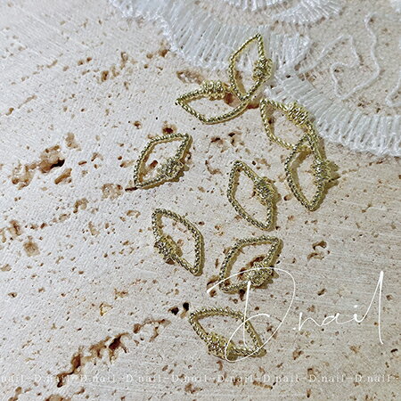 D Nail 로프 프레임 다이아 골드 10P