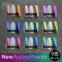 【5/1限定 ポイント5倍】TOY's × INITY ニューオーロラパウダー 9色セット T-NAS9