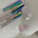 【5/1限定 ポイント5倍】D Nail オーロラフィルム wish(ウィッシュ)