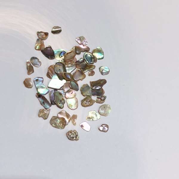 NOVEL Sphere shells S 2.4g (�Υ����� ���ե����륷���륺)