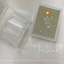 【5/1限定 ポイント5倍】D.nail スタンダードチップ クリア #0 50P