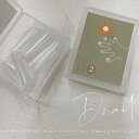 【5/1限定 ポイント5倍】D.nail スタンダードチップ クリア #2 50P