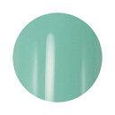 【5/1限定 ポイント5倍】Dna Gel(ディーナジェル) カラージェル MG11 オパールグリーン 2.5g