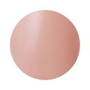 【5/1限定 ポイント5倍】Dna Gel(ディーナジェル) カラージェル N08 ペールクリーム 2.5g