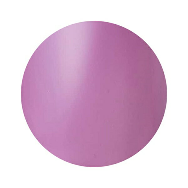 Dna Gel(ディーナジェル) カラージェル S05 オールドライラック 2.5g