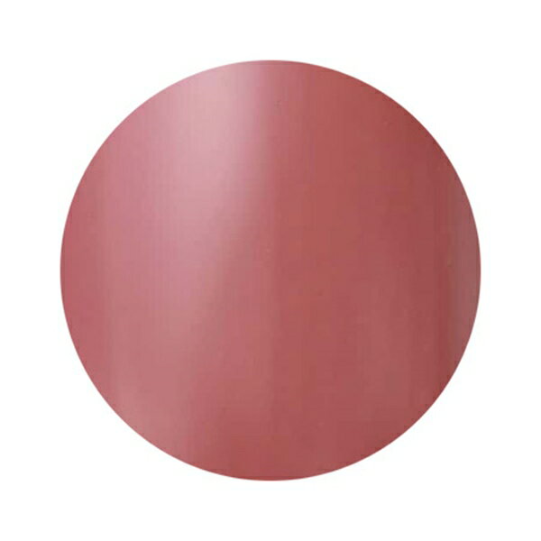 Dna Gel(ディーナジェル) カラージェル S08 テラコッタ 2.5g