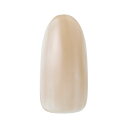 【5/1限定 ポイント5倍】Dna Gel(ディーナジェル)×Renee カラージェル ♯Stmoss シースルーモス 2.5g