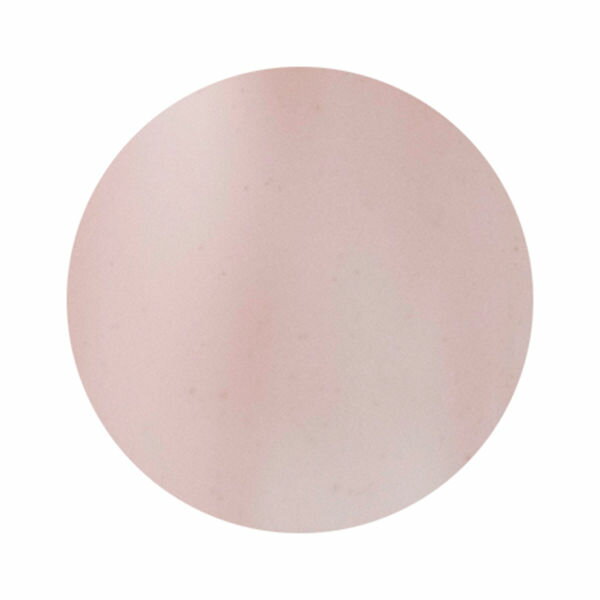 Dna Gel(ディーナジェル)×Renee カラージェル Stnude ヌード 2.5g