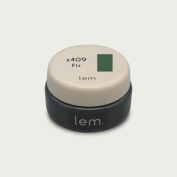 lem.(���) ���顼������ s409 �ե���