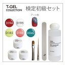 高野尚子プロデュース「TGEL　COLLECTION」ソフトジェルタイプ UV約1分 LED約30秒 検定高野尚子プロデュース「TGEL　COLLECTION」ソフトジェルタイプ UV約1分 LED約30秒 検定