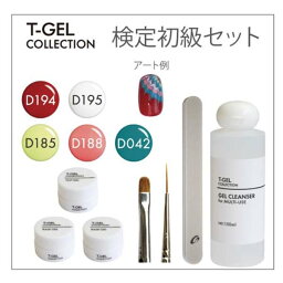 TGEL ジェル検定初級セット