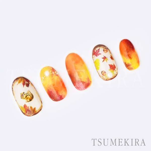 【取寄】ツメキラ 秋の彩り NNALS101