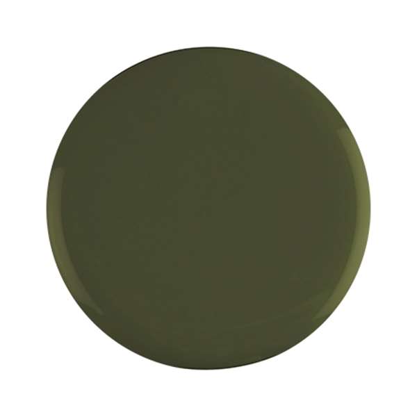 バイオスカルプチュアジェル カラージェル 279 ソーンバード 4.5g