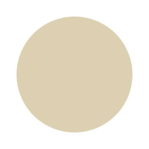 パラポリッシュ カラージェル B027 ヘンプベージュ【トップ機能なし】