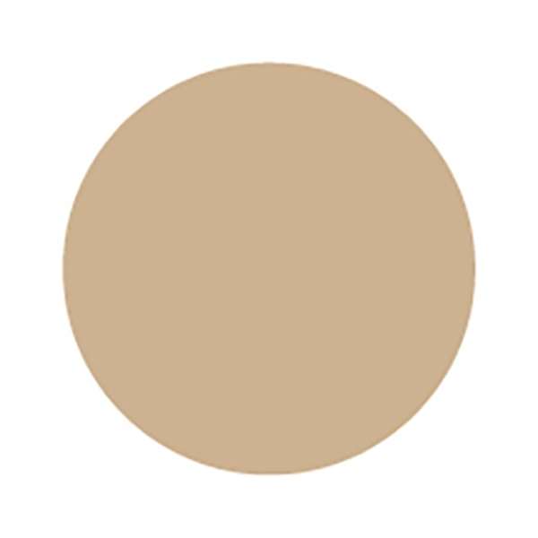 プリジェル カラーEX ライナーミルキーベージュ PGCEL30 3g