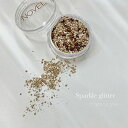 NOVEL　Sparkle　glitter　champagn　1．1g