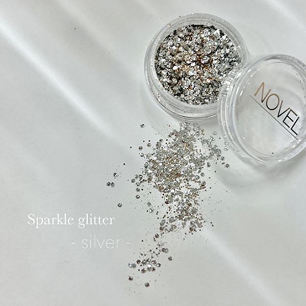 NOVEL　Sparkle　glitter　silver　1．1g