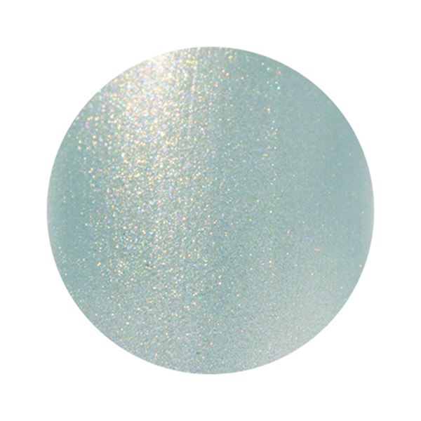 Dna　Gel（ディーナジェル）　カラージェル　P10　パウダーリーフ　2．5g