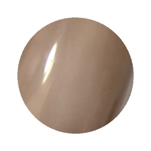 ジェルグラフ　カラージェル　262C　ブランディーユ　5g