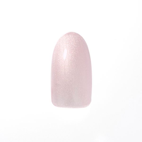 Dna　Gel（ディーナジェル）　カラージェル　P09　ラべブラッシュ　2．5g