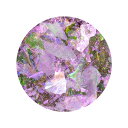 LEAF SELECTION(リーフセレクション) アンティークフレーク 14 パープル