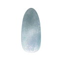 【5/1限定 ポイント5倍】エムプティ M・GEL マグネットネイル Z523 5g