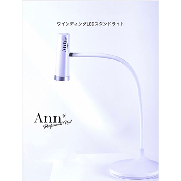 Ann Professional �磻��ǥ��� LED ������ɥ饤��