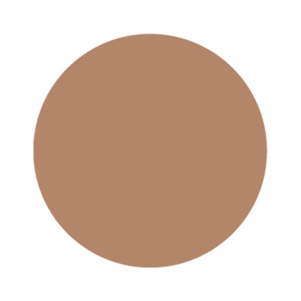 パラポリッシュ カラージェル B042 カカオブラウン【トップ機能なし】