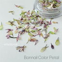 Bonnail カラーペタル エモーショナル 0.08g