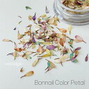 Bonnail カラーペタル ノスタルジック 0.08g