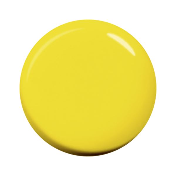 パラジェル デザイナーズカラージェル CP02 イエロー 4g